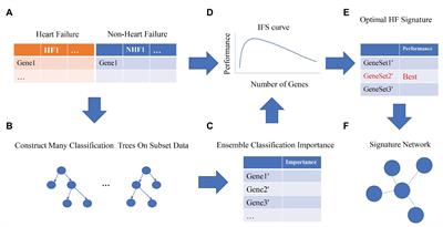 Multiple Feature Selection Strategies Identified Novel Cardiac Gene Expression Signature for Heart Failure